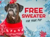 BarkBox Super Chewer Coupon Code – Free Holiday Sweater