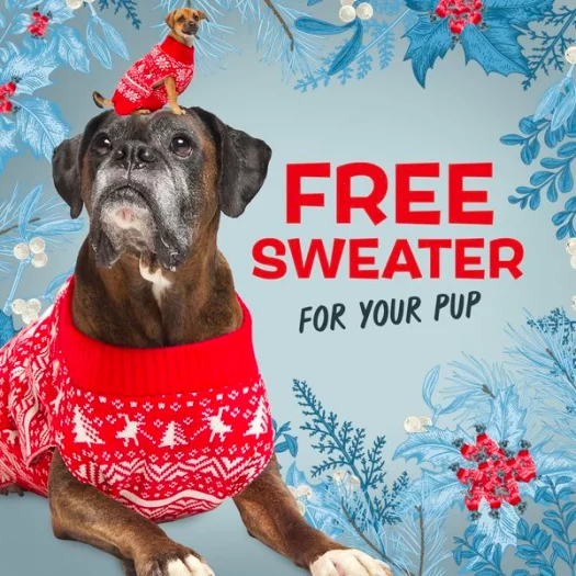 Read more about the article BarkBox Super Chewer Coupon Code – Free Holiday Sweater