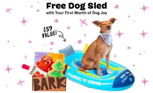 Read more about the article BarkBox Coupon Code: Free FUNBOY Sled!