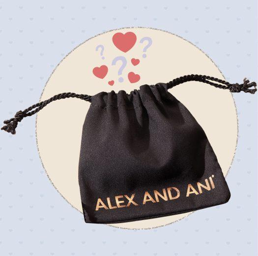 Read more about the article Alex + Ani Secret Admirer Mystery Gift – $10 or Free with $65 Purchase