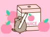 Pusheen Summer 2023 Box Theme + Spoilers #1 & #2