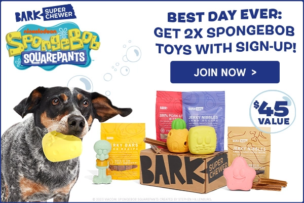 Read more about the article BarkBox Super Chewer Coupon Code – Double Your First SpongeBob Themed Box