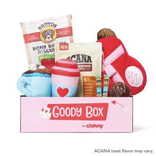 Read more about the article Chewy Goody Box Valentine’s Dog Box – Toys & Treats for Your Pup!