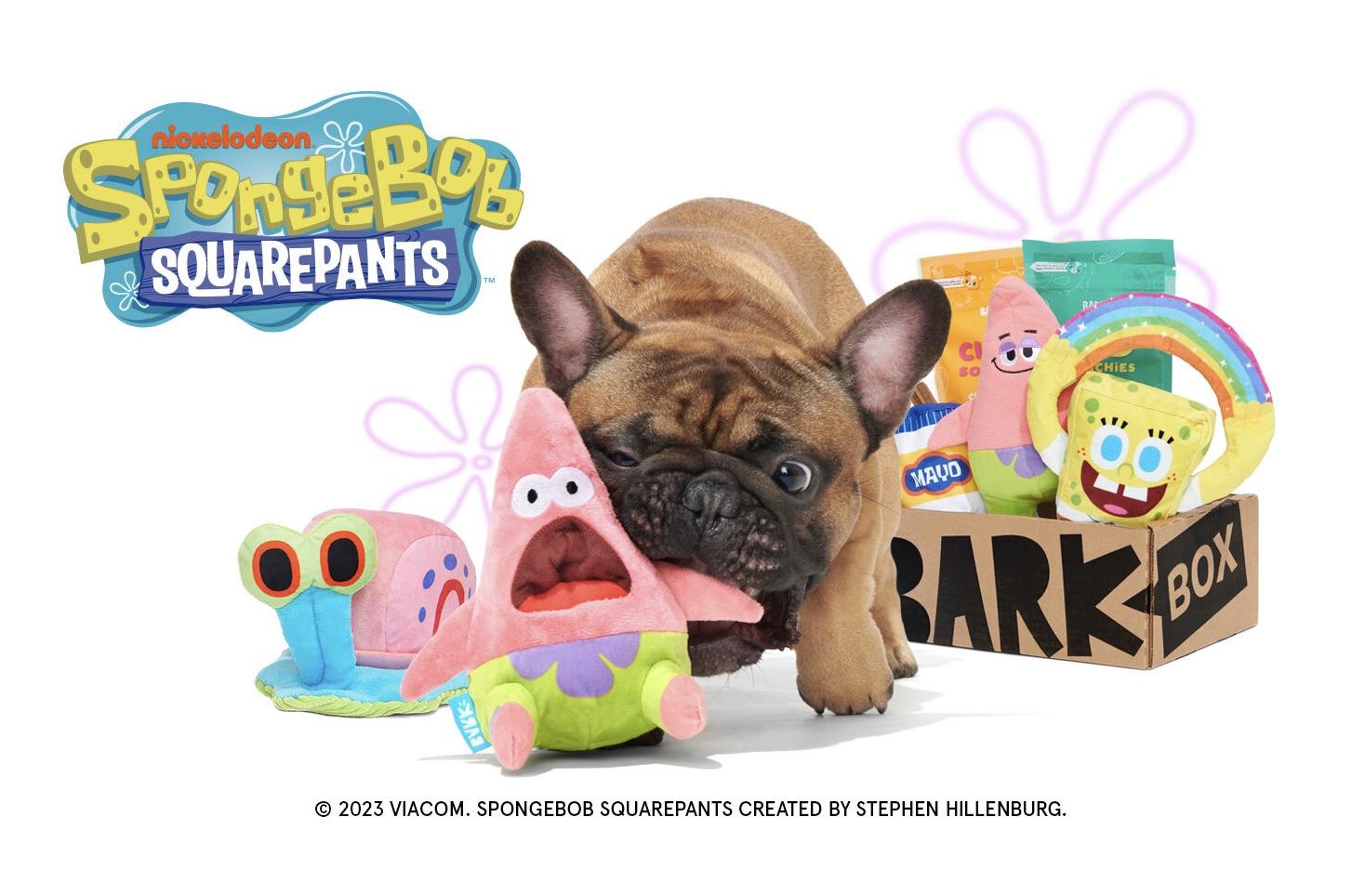 Read more about the article Start Your BarkBox Subscription with a SpongeBob Box!
