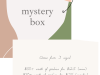 PinkSeoul Mystery Box – Now Available!