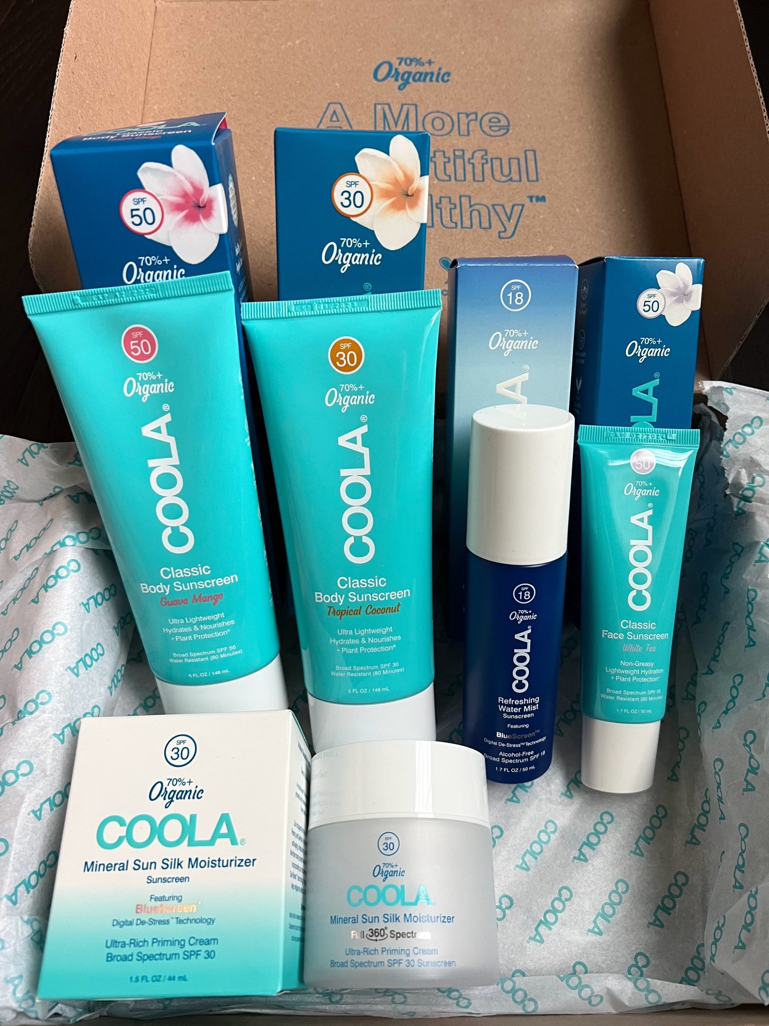 Read more about the article COOLA Mystery Box Review