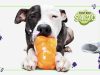 BarkBox Super Chewer Coupon Code – Get Your First Box for $4.20