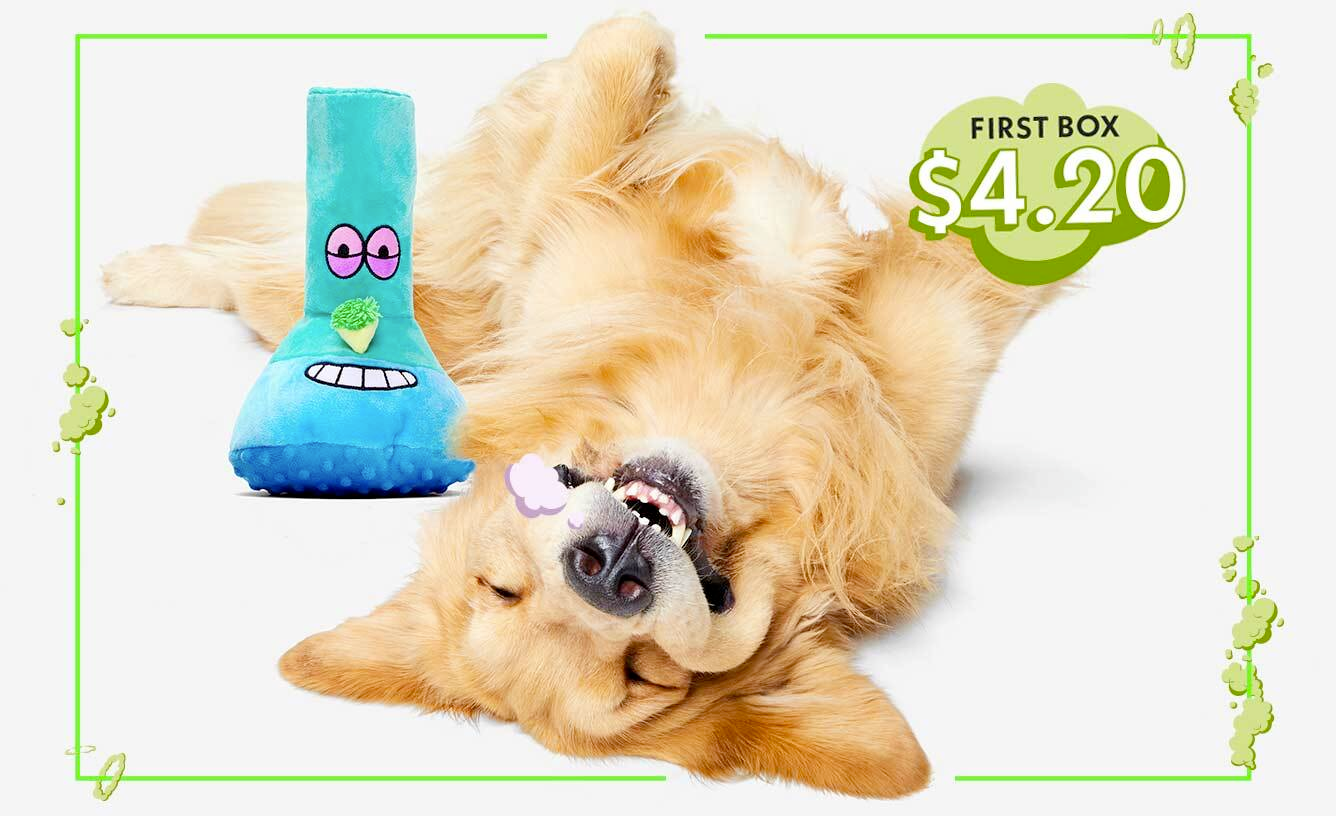 Read more about the article Barkbox – Get Your First Box For $4.20!