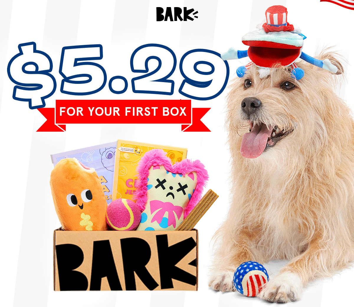 Read more about the article BarkBox Memorial Day Coupon Code: First Box for $5.29!