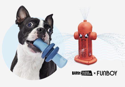 Read more about the article BarkBox Super Chewer Coupon Code – FREE FUNBOY Water Toy!
