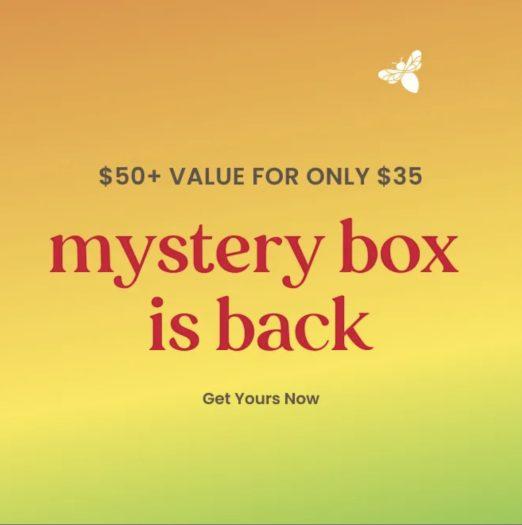 Read more about the article Burt’s Bees Mystery Box – Now Available!