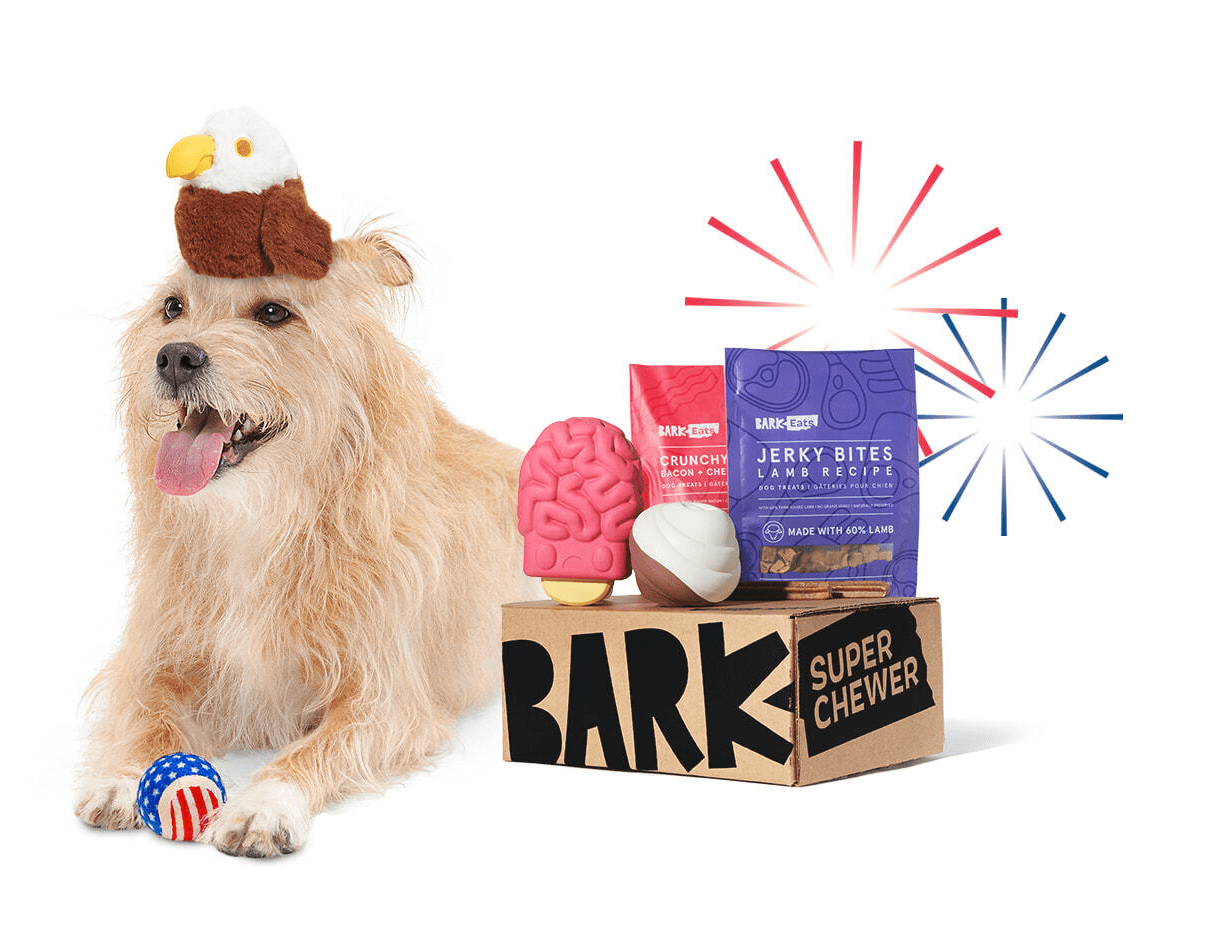 Read more about the article BarkBox Super Chewer Coupon Code – First Box for $5.29!