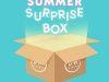DW Home Mystery Candle Summer Surprise Box