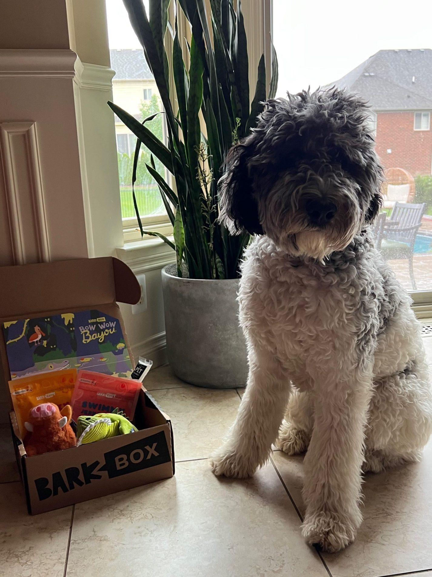 Read more about the article BarkBox Review + Coupon Code – July 2023