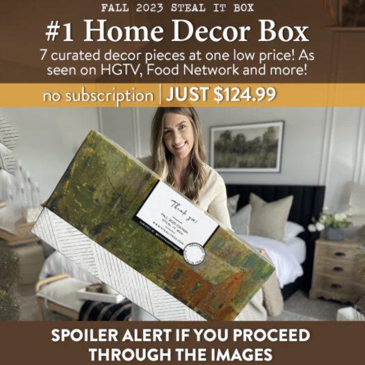 Read more about the article Decor Steals Fall 2023 Steal It Box – Full Spoilers