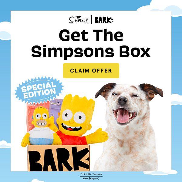 Read more about the article BarkBox Coupon Code – Double Your First Simpsons Themed Box Free!
