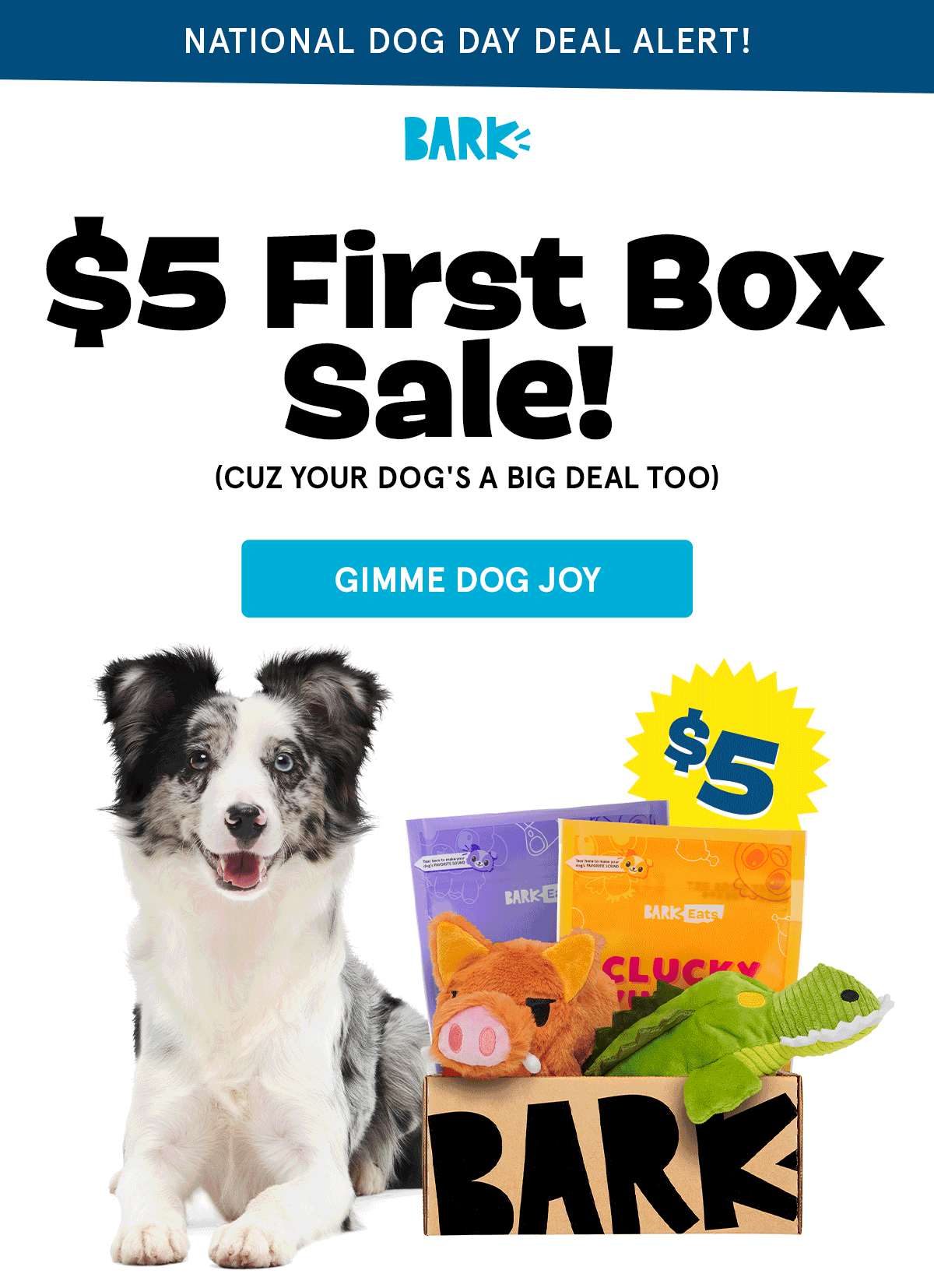 Read more about the article BarkBox Coupon Code – First Box for $5