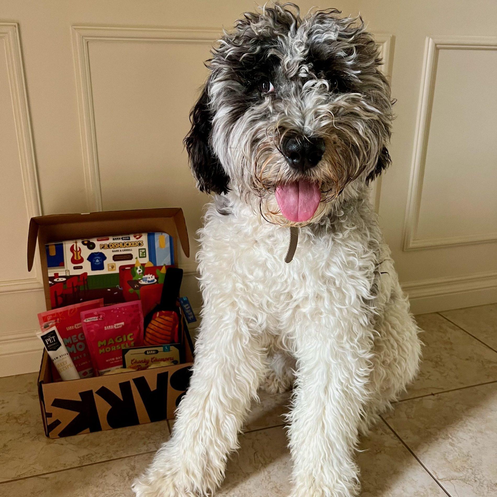 Read more about the article BarkBox Review + Coupon Code – August 2023