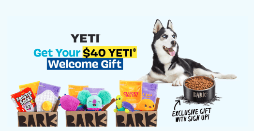 Read more about the article BarkBox Coupon Code: FREE Yeti Dog Bowl