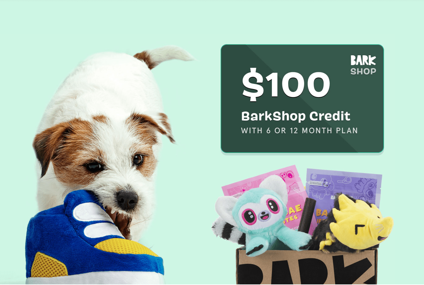Read more about the article BarkBox Coupon Code: $100 FREE BarkShop Credit