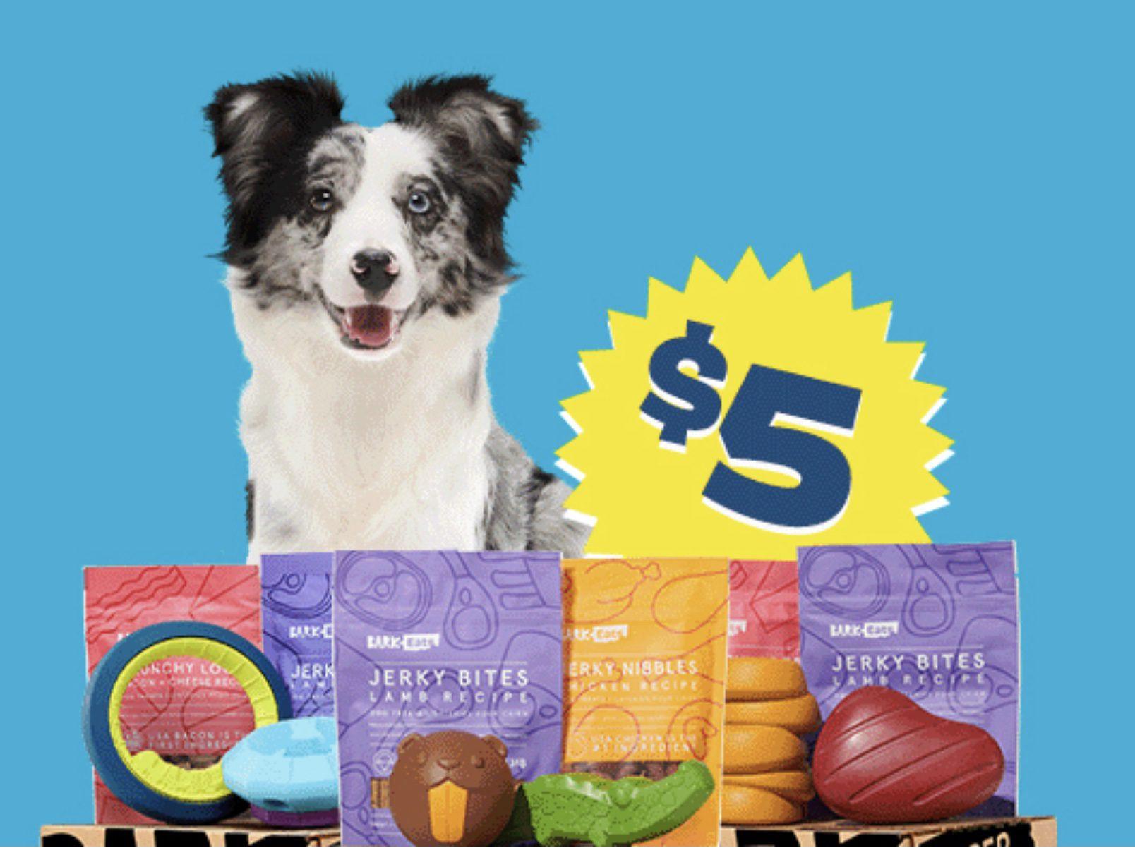 Read more about the article BarkBox Super Chewer Coupon Code – First Box for $5!