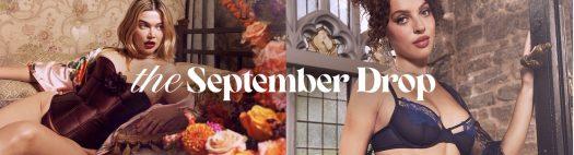 Read more about the article Adore Me September 2023 Selection Window Open + Coupon Code!