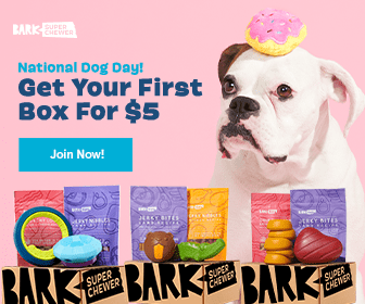 Read more about the article FINAL DAYS: BarkBox Super Chewer Coupon Code – First Box for $5!