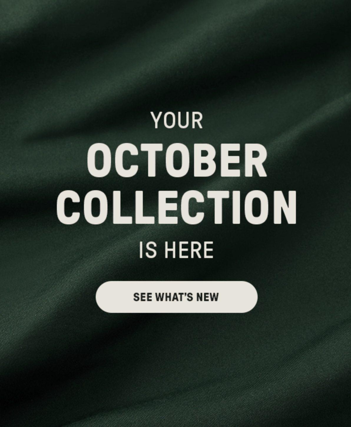 Read more about the article Fabletics October 2023 Selection Time + 2 for $24 Leggings Offer