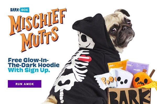 Read more about the article Barkbox Free Glow-in-the-Dark Skeleton Hoodie with Multi-Month Subscription!