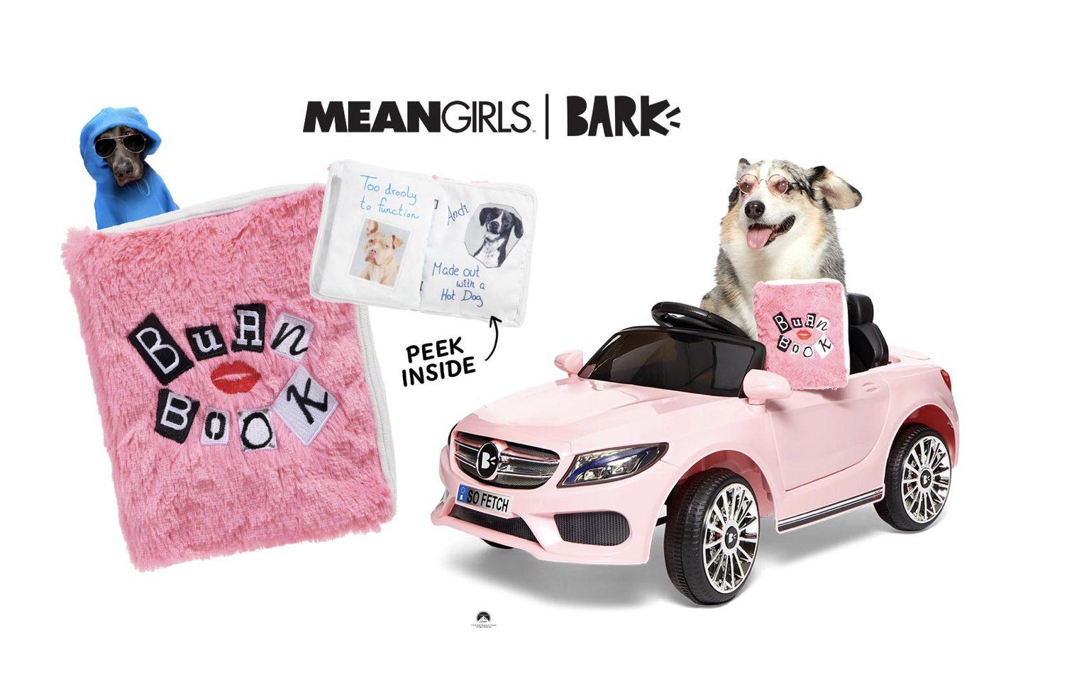 Read more about the article BarkBox Mean Girls Day Coupon Code: FREE Burn Book!