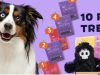 BarkBox Coupon Code – Free Treat Bundle In Your First Box!