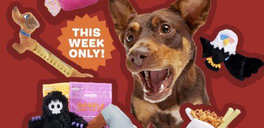Read more about the article BarkBox Coupon Code – $50 BarkShop Credit for FREE Treats & Toys!
