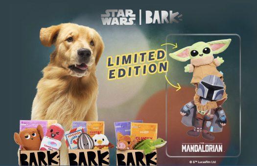 Read more about the article Barkbox FREE The Mandalorian Bundle with Multi-Month Subscription!