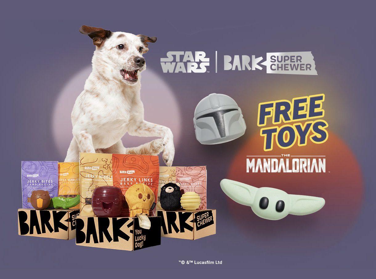 Read more about the article BarkBox Super Chewer Coupon Code – Free The Mandalorian Bundle