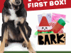 BarkBox Black Friday Coupon Code – First Box FREE