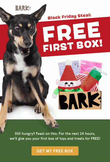 Read more about the article BarkBox Black Friday Coupon Code – First Box FREE