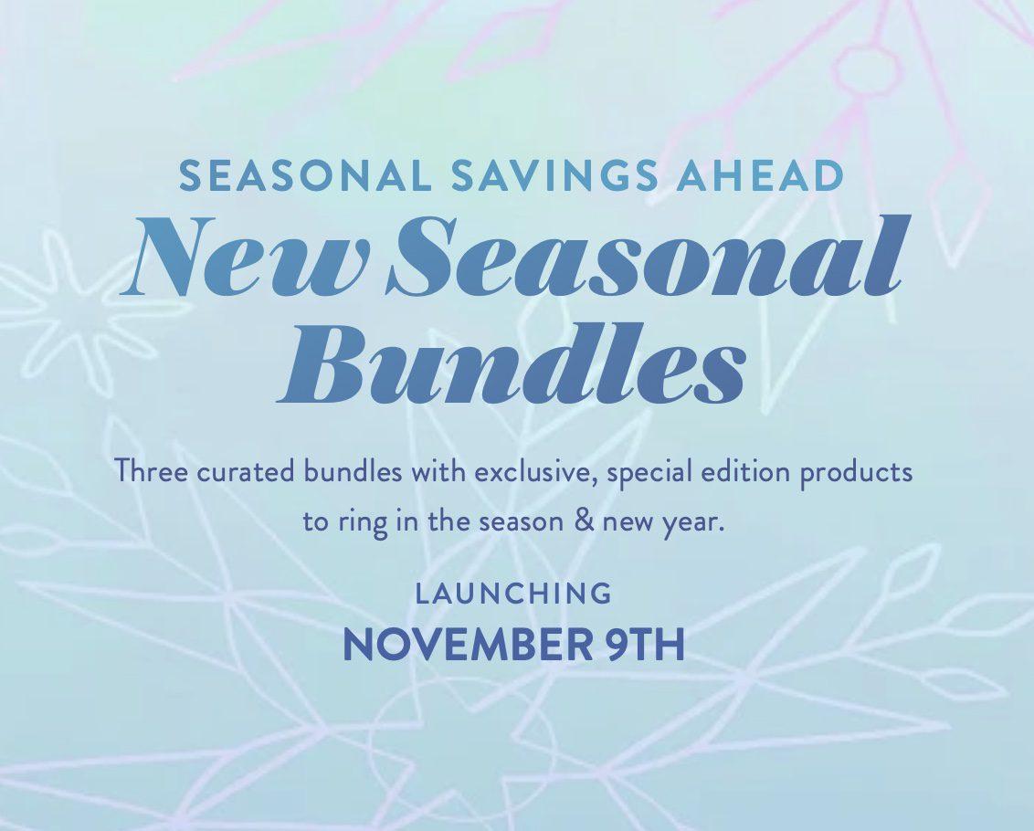 Read more about the article Erin Condren Special Edition Seasonal Bundles – Launching November 9th.