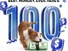 BarkBox Cyber Monday Offer: $100 FREE BarkShop Credit