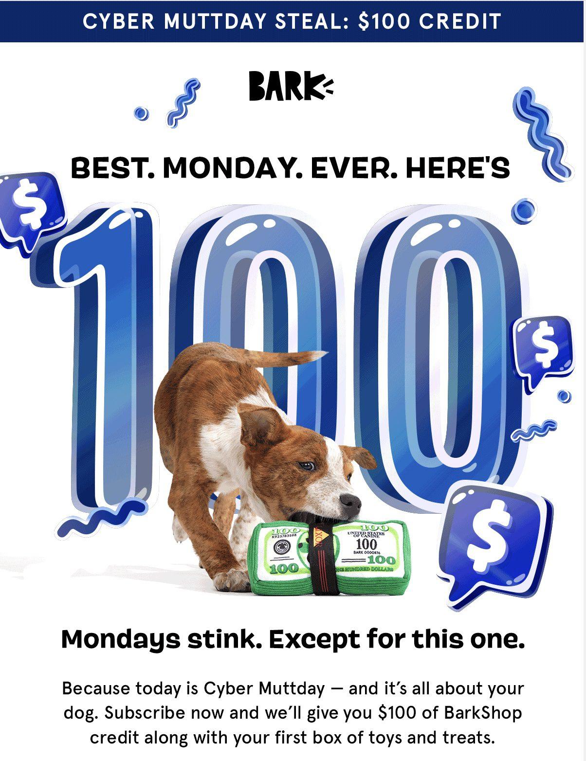 Read more about the article BarkBox Cyber Monday Offer: $100 FREE BarkShop Credit