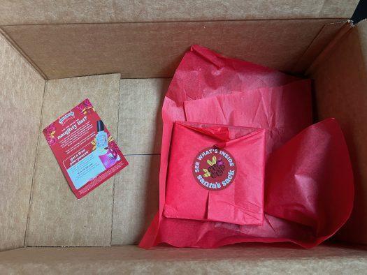 Pourri Santa’s Sack: Mystery Gift Box Mini Review