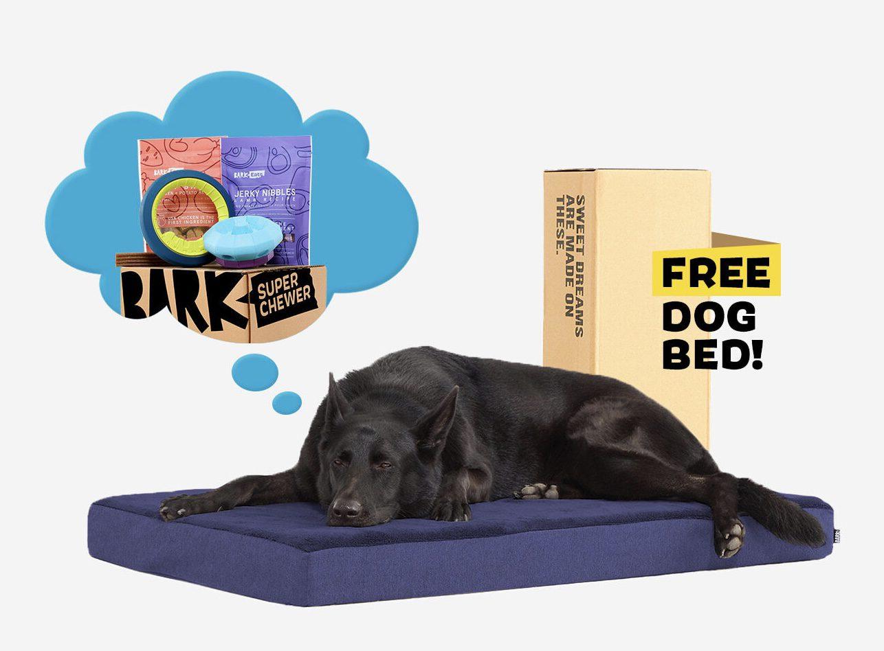 Read more about the article BarkBox Super Chewer Coupon Code – Free Dog Bed In Your First Box