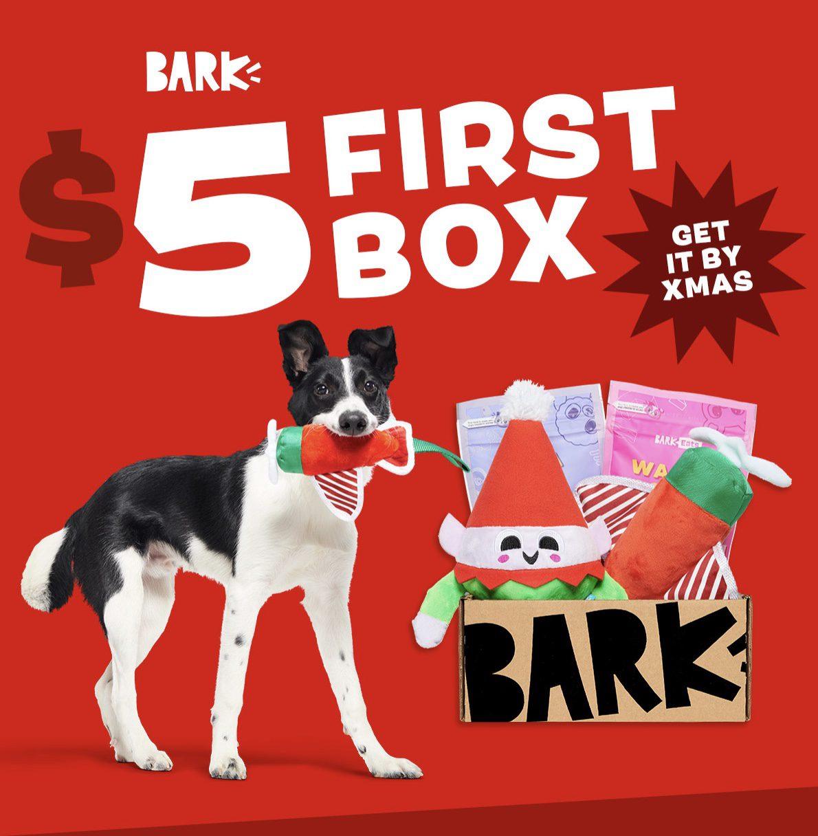 Read more about the article BarkBox Coupon Code – First Box for $5 + Get the Box By Christmas!
