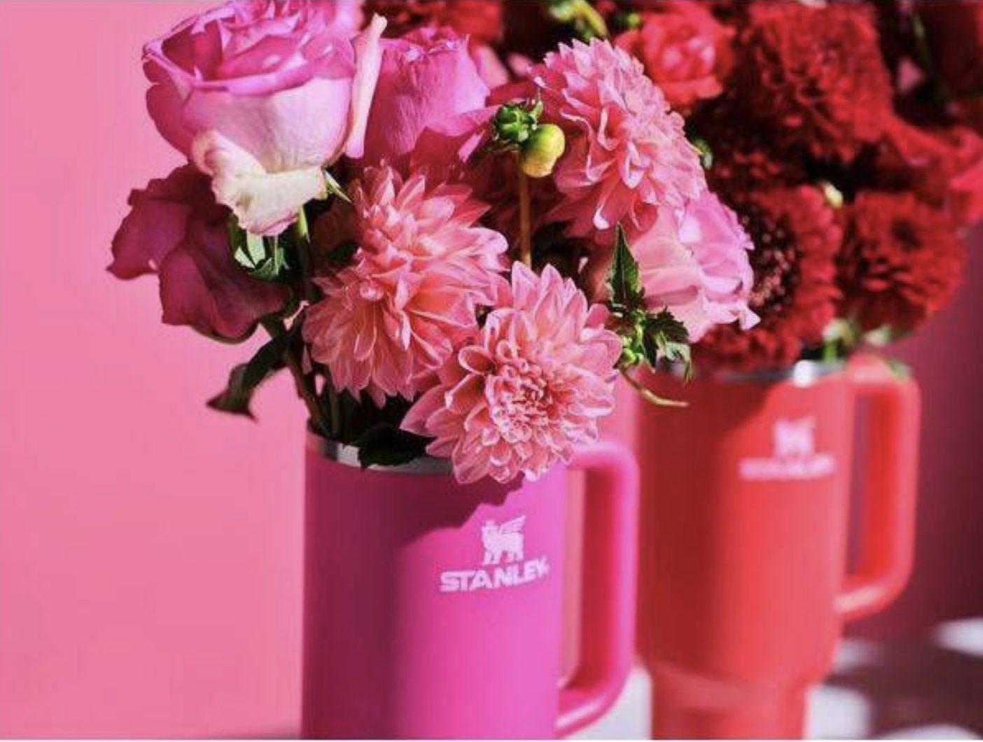 Read more about the article New Valentine’s Day Stanley 40oz Tumblers at Target