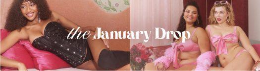 Read more about the article Adore Me January 2024 Selection Window Open + Coupon Code!