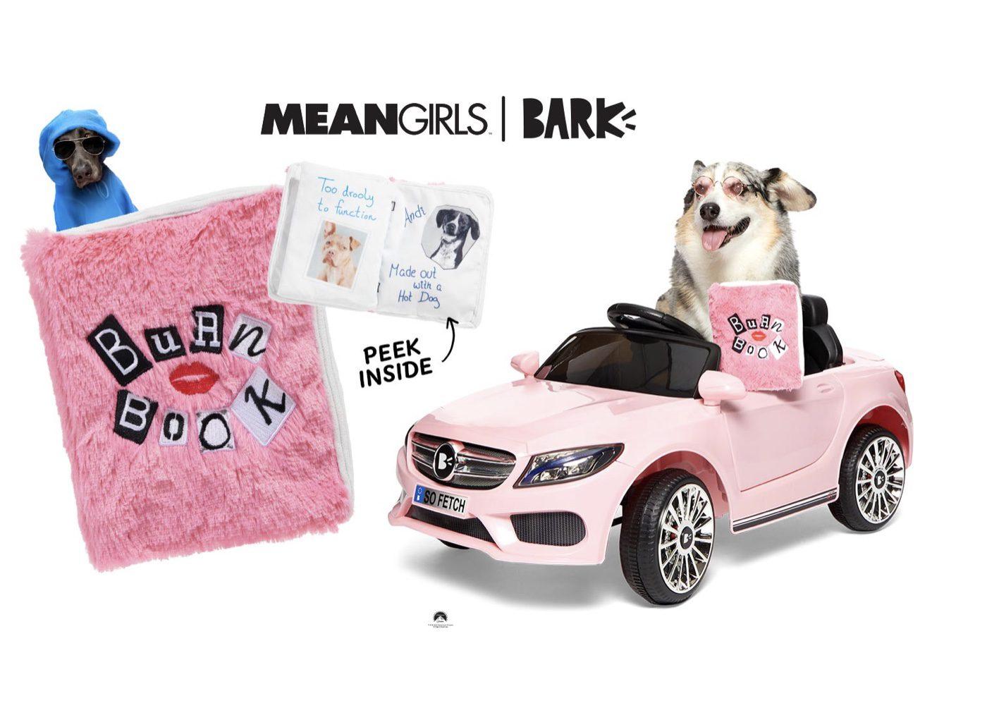 BarkBox Coupon Code FREE Mean Girls Burn Book Toy Subscription Box