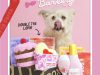 BarkBox Coupon Code – Double Your First Box Free!