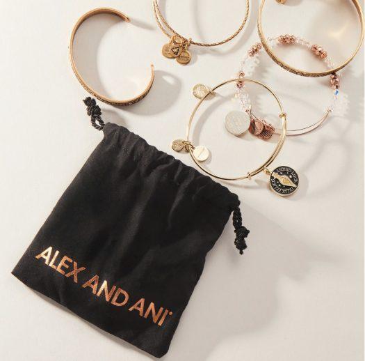 Read more about the article Alex + Ani Trend Jewelry Mystery Bag!