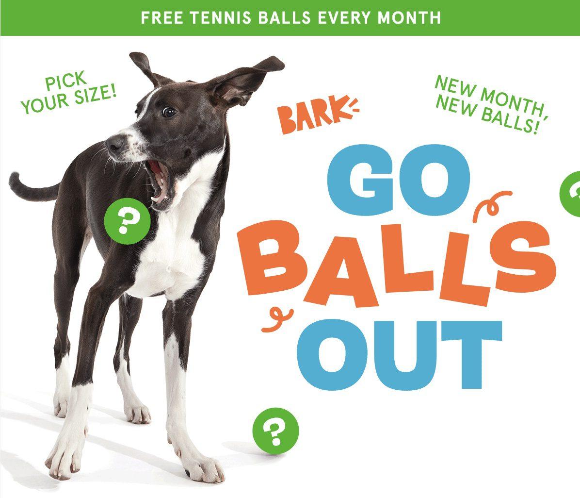 Read more about the article Barkbox FREE Tennis Ball Club Subscription with Multi-Month Subscription!