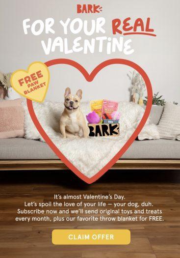 Read more about the article BarkBox Coupon Code – FREE Dog Blanket In Your First Box