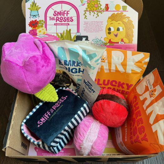 BarkBox Review + Coupon Code - February 2024 - Subscription Box